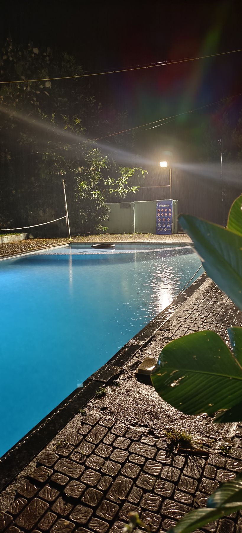 late swim, the kids still awake